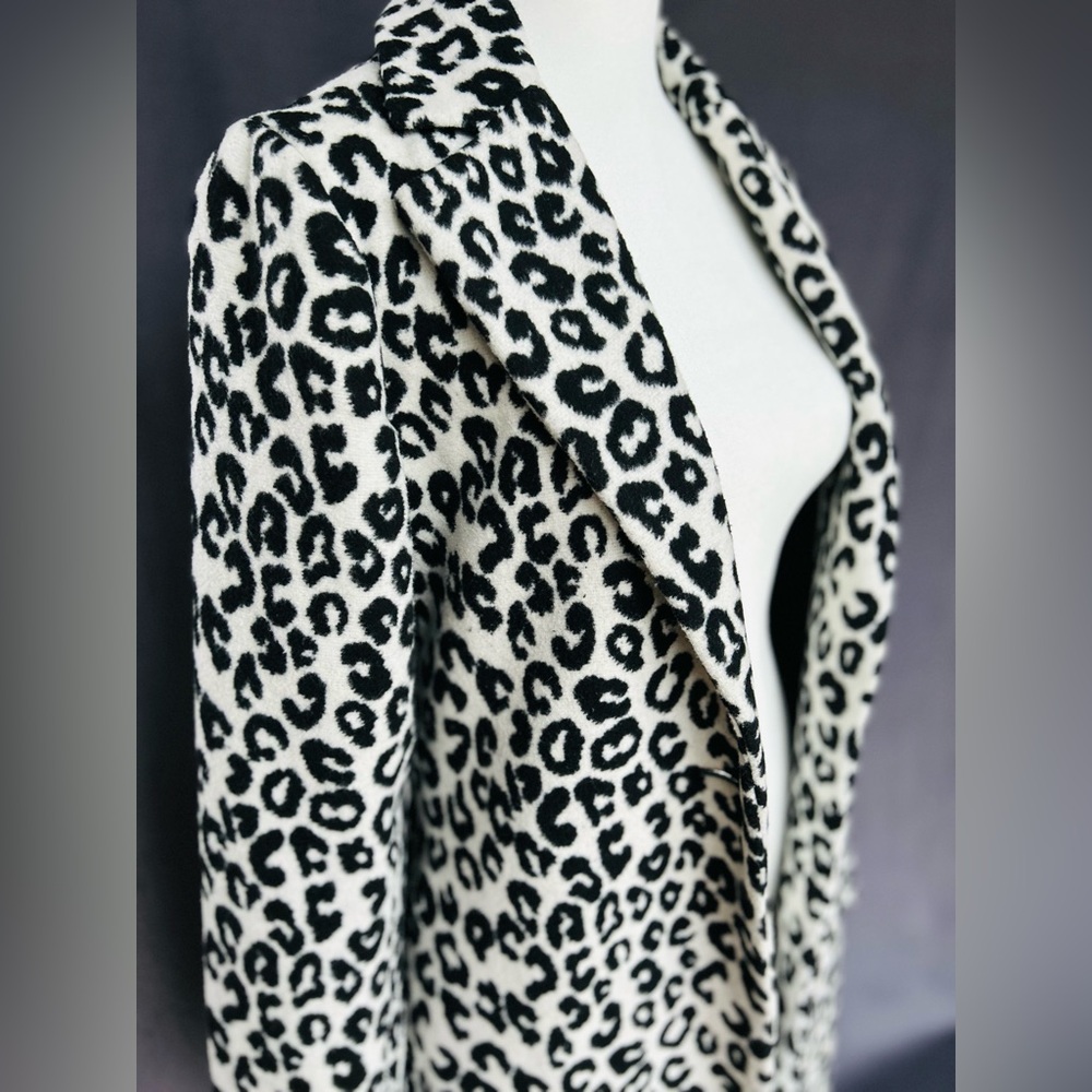 Rachel Zoe New York Dress Coat